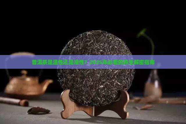 普洱茶属于温性吗