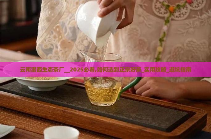 云南潞西生态茶厂