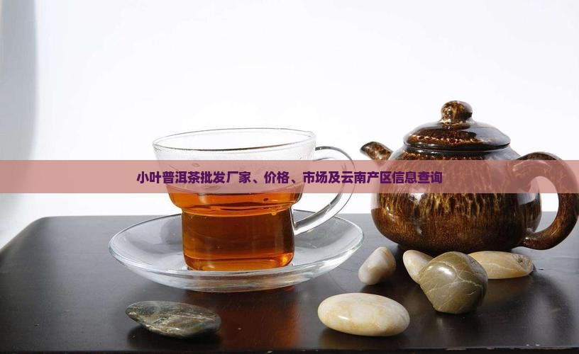 小叶普洱茶批发