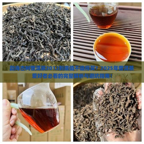 勐海古树普洱茶2012