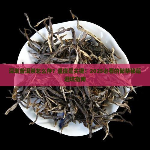 深圳普洱茶的储存温度是