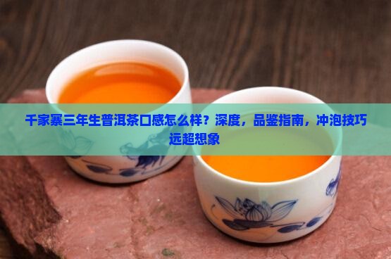 千家寨三年生普洱茶口感