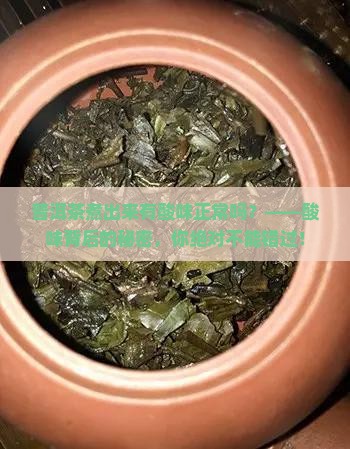 普洱茶煮出来有酸味正常吗