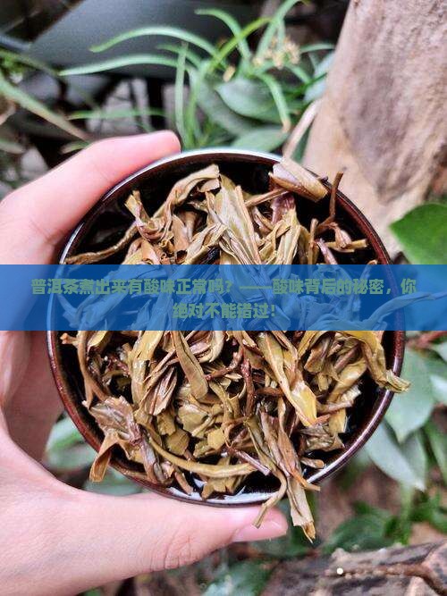 普洱茶煮出来有酸味正常吗