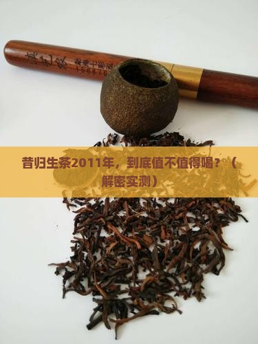 昔归生茶2011年