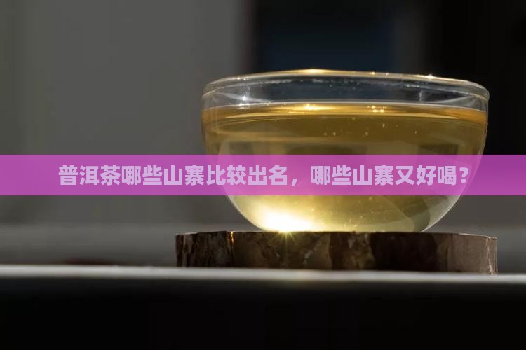 普洱茶哪些山寨比较出名