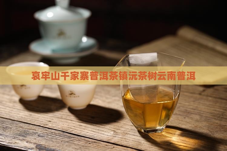 哀牢山千家寨普洱茶