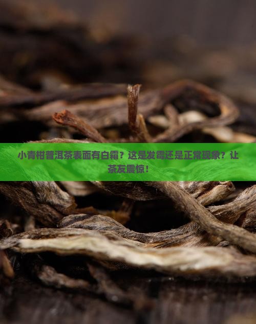 小青柑普洱茶表面有一层白色