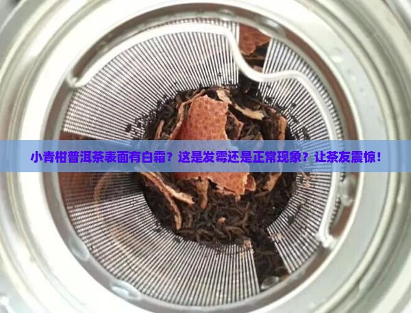 小青柑普洱茶表面有一层白色