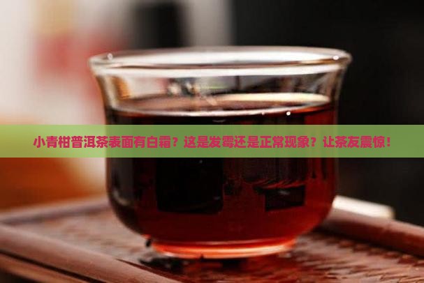 小青柑普洱茶表面有一层白色
