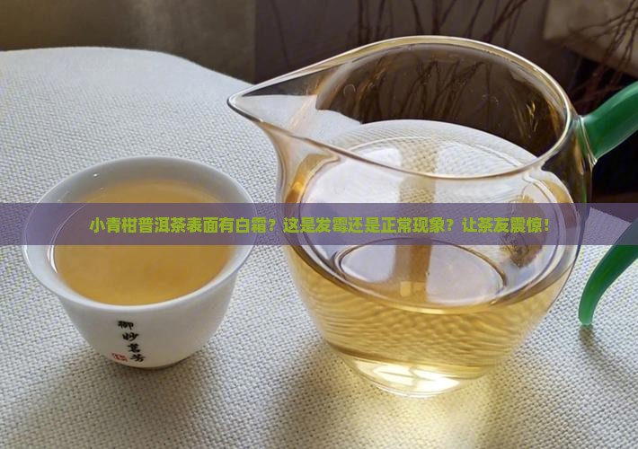 小青柑普洱茶表面有一层白色