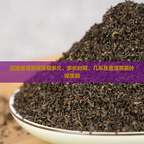 田园普洱茶保质期