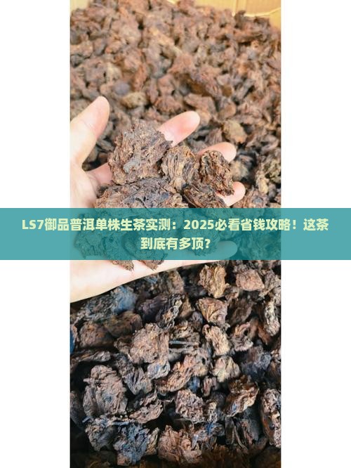 LS7御品普洱单株生茶