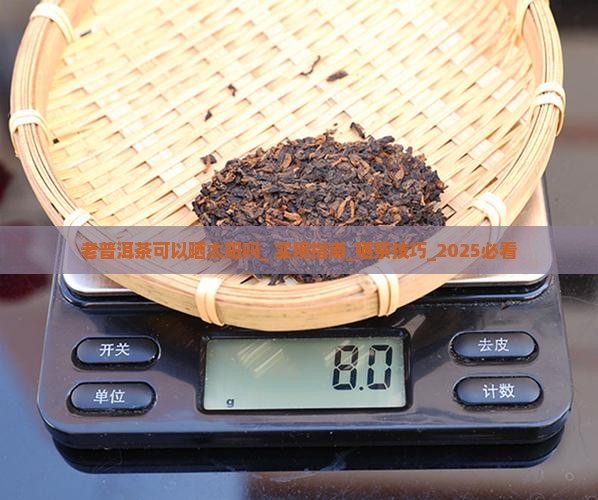 老普洱茶可以晒太阳吗