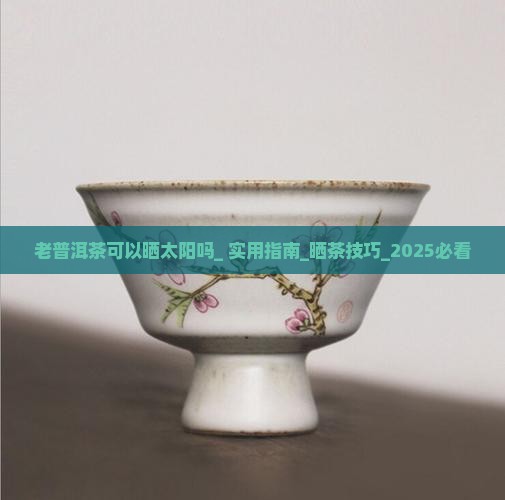 老普洱茶可以晒太阳吗
