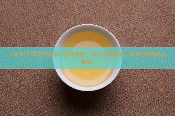 下关2011年古树沱茶