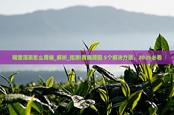 喝普洱茶怎么胃痛