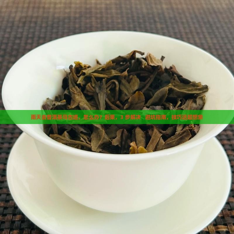 雨天去普洱茶马古道