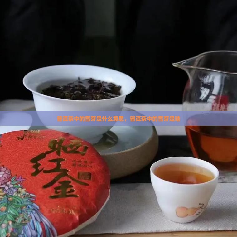 普洱茶中的雪芽