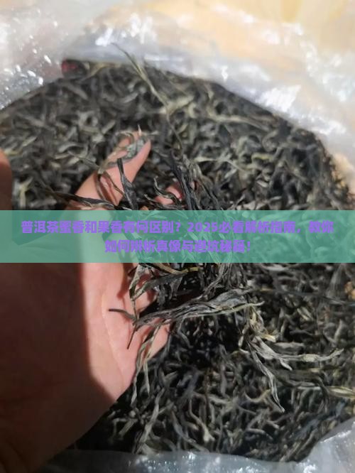 普洱茶蜜香和果香的区别