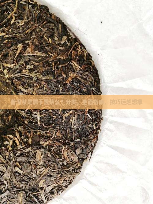 普洱茶是属于黑茶么