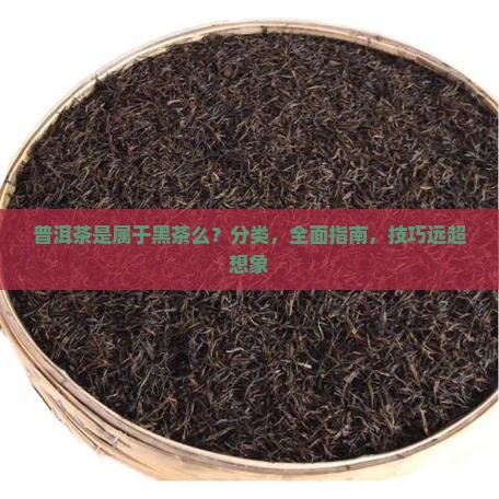 普洱茶是属于黑茶么