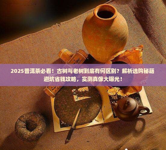 普洱茶古树和老树有啥区别