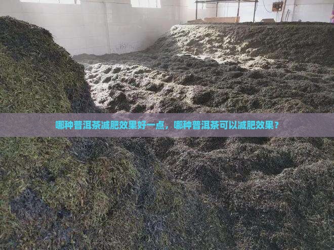哪种普洱茶减肥效果好一点