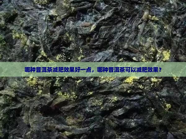 哪种普洱茶减肥效果好一点