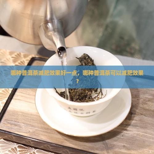 哪种普洱茶减肥效果好一点