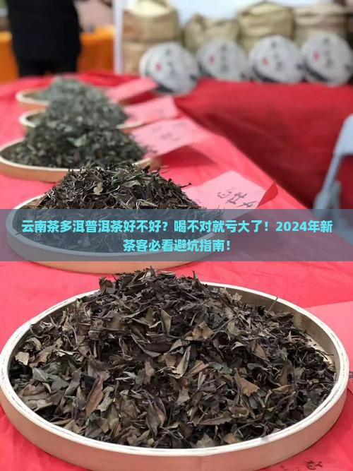 云南茶多洱普洱茶好不好