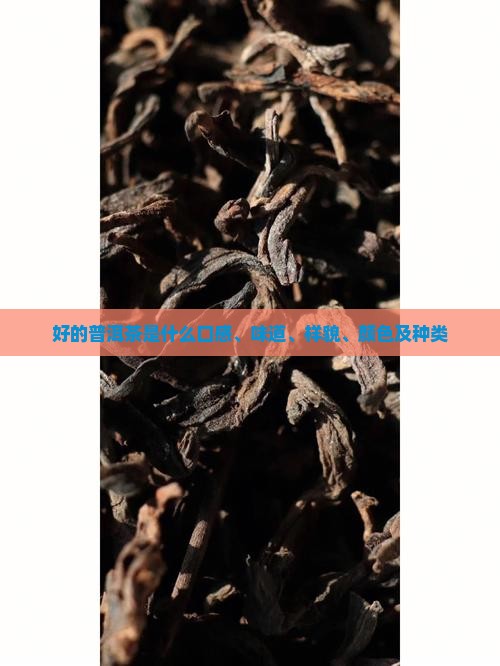 好的普洱茶是什么