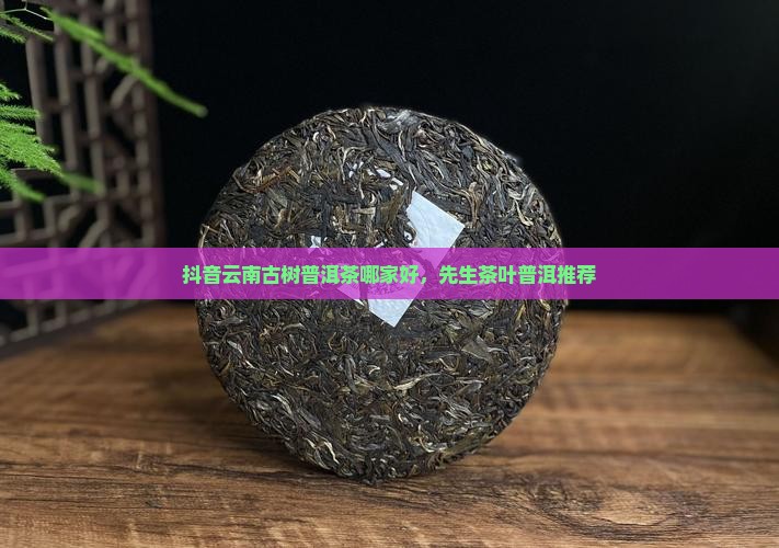 抖音古树纯料普洱茶哪家好