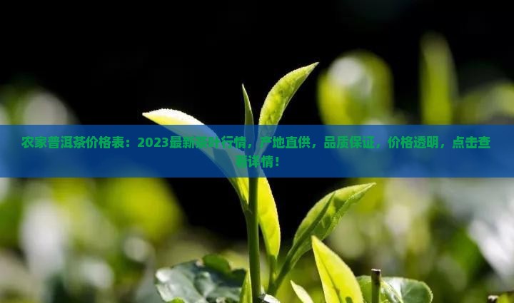 农家普洱茶价格表