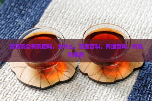 普洱茶会有茶菌吗