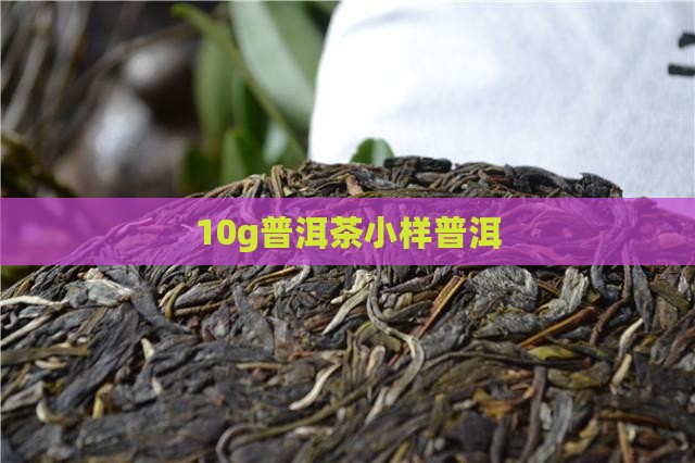 10g普洱茶小样