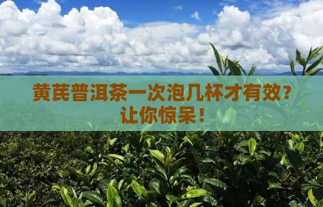 黄芪普洱茶一次性泡几杯