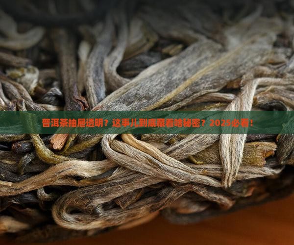 普洱茶抽屉透明