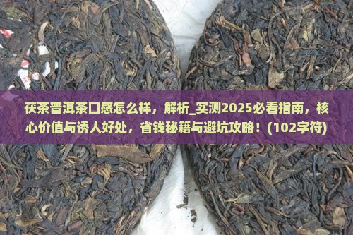 茯茶普洱茶口感怎么样