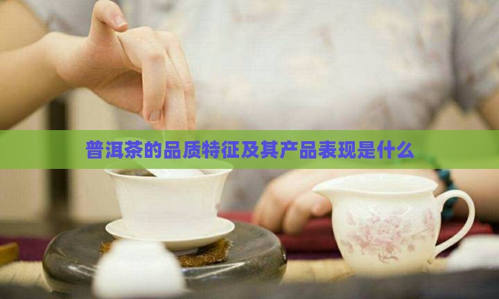 普洱茶的品质特征是什么