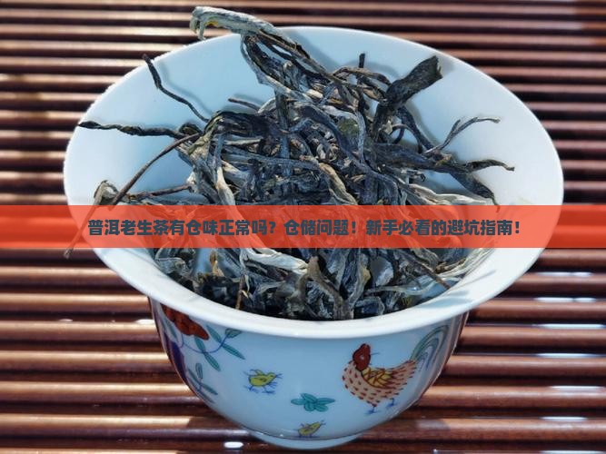 普洱老生茶有仓味正常吗
