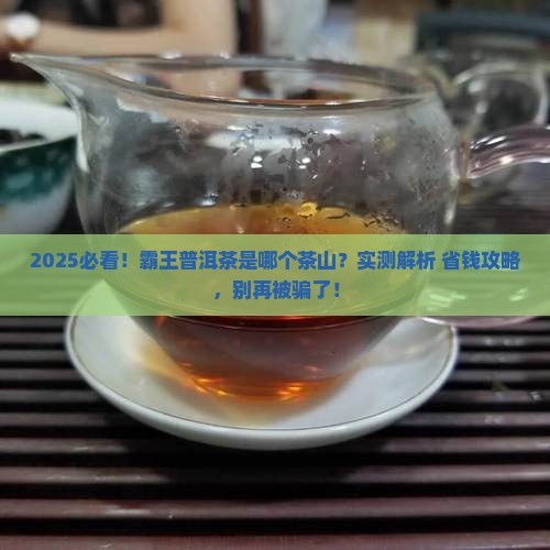 霸王普洱茶是哪个茶山 霸王普洱茶是哪个茶山