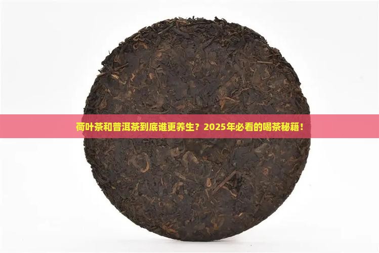 荷叶茶普洱茶功效区别
