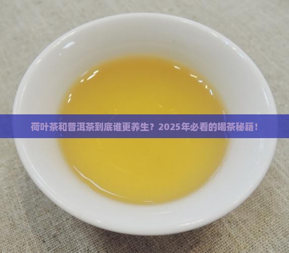 荷叶茶普洱茶功效区别