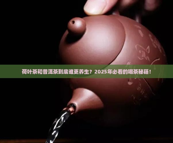荷叶茶普洱茶功效区别