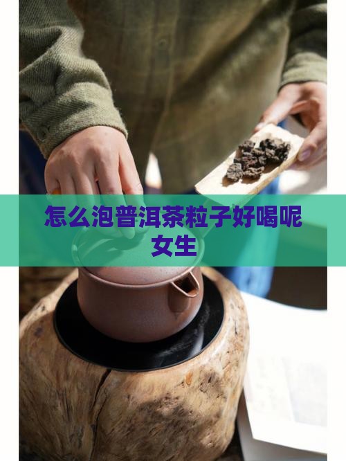 怎么泡普洱茶粒子好喝呢