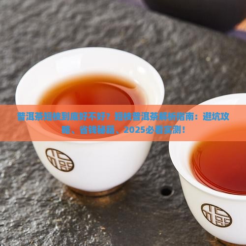 普洱茶短枝好不好