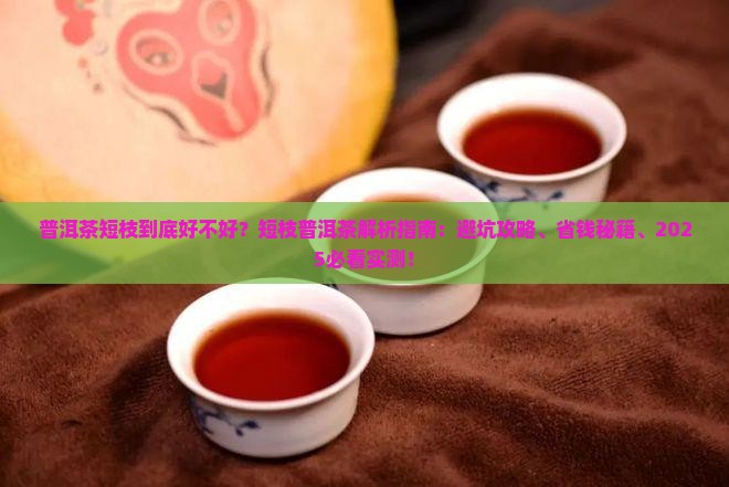 普洱茶短枝好不好