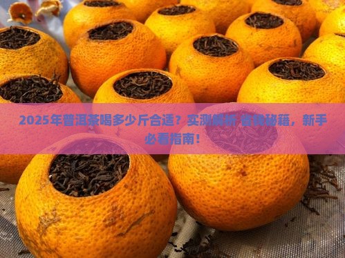 普洱茶一年喝多少斤