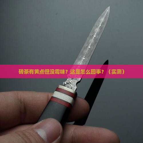 砖茶有黄点但是没霉味
